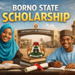 Borno State Scholarship